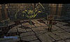 Neverwinter Nights
